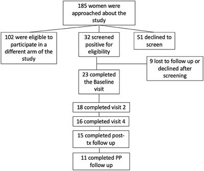 Engagement in and Benefits of a Short-Term, Brief Psychotherapy Intervention for PTSD During Pregnancy